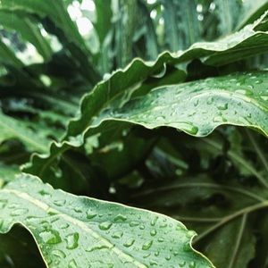 Meet your Posher, Molly